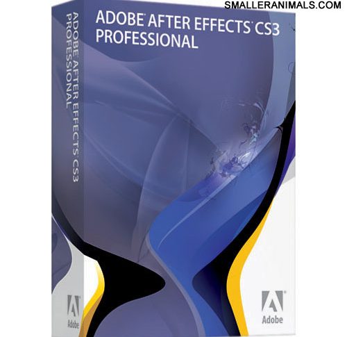 Memahami Adobe After Effect CS3